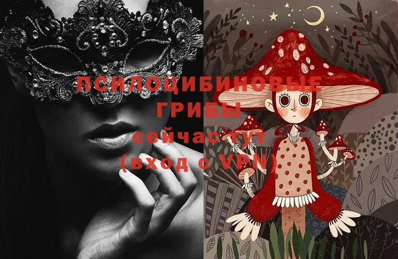 купить   блэк спрут как зайти  Галлюциногенные грибы Magic Shrooms  Мценск 